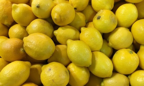 昆仑菊花茶-【昆昆胎菊的功效】昆伦菊的功效与作用 - 昆菊花茶的功效网