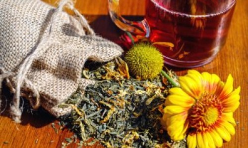【昆昆胎菊的功效】昆伦菊的功效与作用 - 昆菊花茶的功效网
