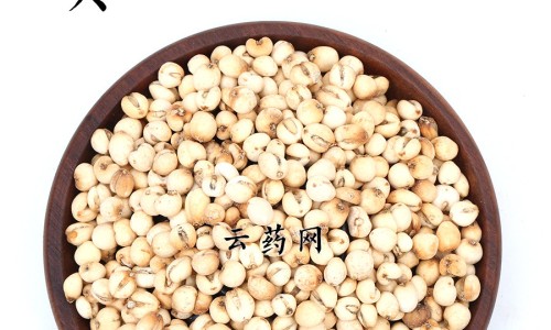 【昆昆胎菊的功效】昆伦菊的功效与作用 - 昆菊花茶的功效网