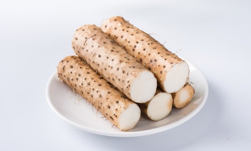 昆仑山菊花茶功效-【昆昆胎菊的功效】昆伦菊的功效与作用 - 昆菊花茶的功效网